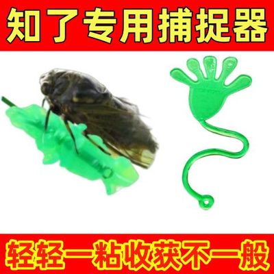 抓知了神器粘知了胶小绿手掌