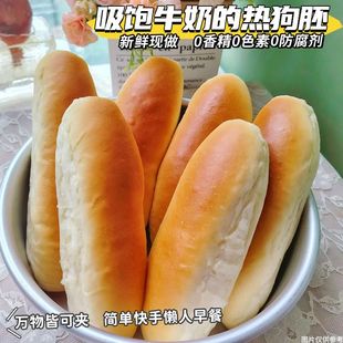热狗面包胚三明治代餐整箱家庭装 汉堡包商用即食早餐切片软早餐