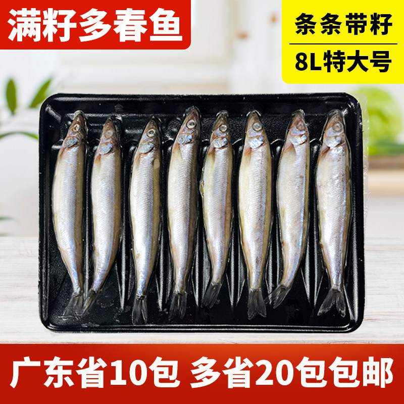 多春鱼特大号新鲜满籽200g子鱼海鲜水产香煎烧烤寿司料理冷冻食材