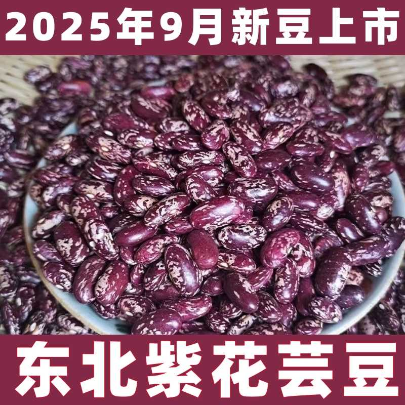 东北紫花芸豆新豆大茬粥饭批发