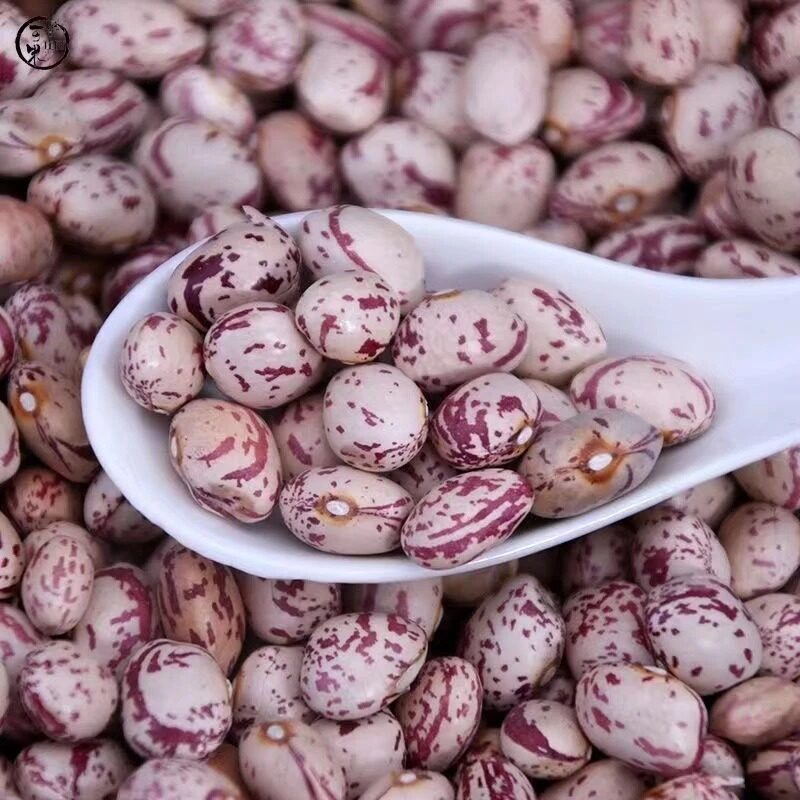 雀蛋豆新货奶花豆花生豆农家自种花生豆米干货新雀蛋豆