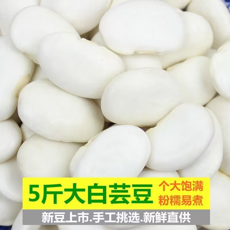 新货大白芸豆云南农家大白芸豆五谷杂粮白云豆大颗粒白芸豆批发