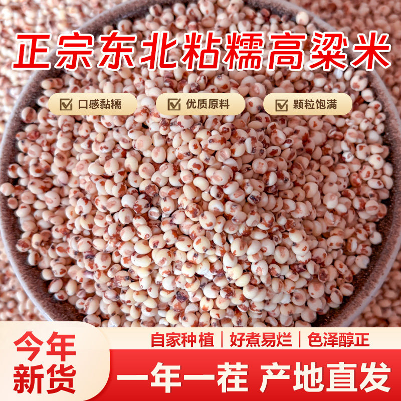 2025年现磨东北粘糯红高粱米
