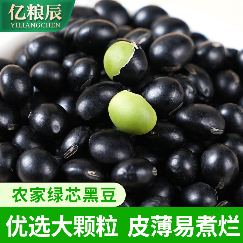东北绿芯黑豆新货可发芽豆浆用