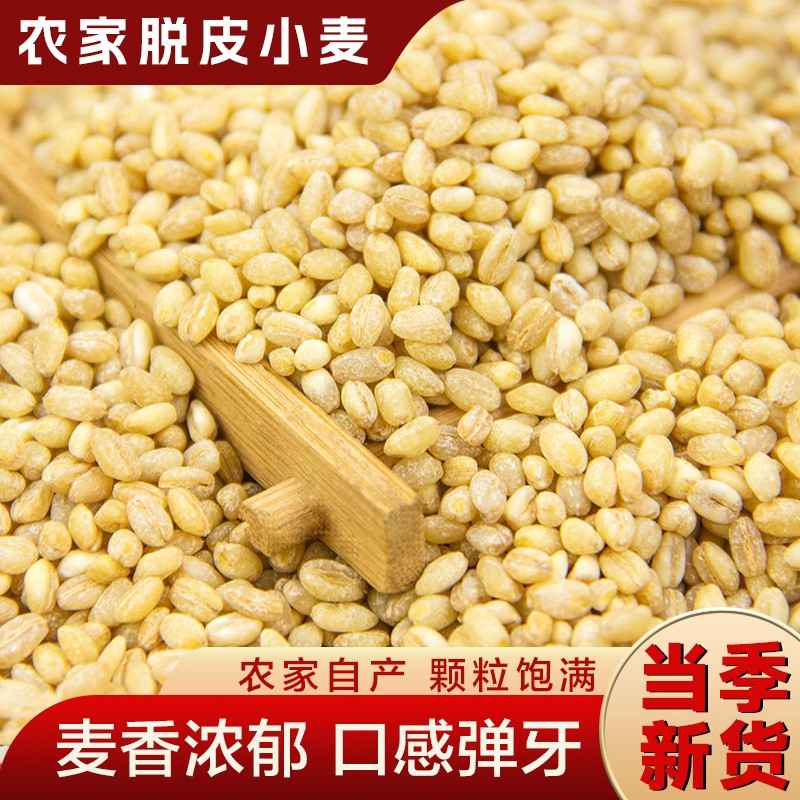 河南脱皮小麦仁去皮小麦粒2026年新鲜麦仁米煮粥麦仁