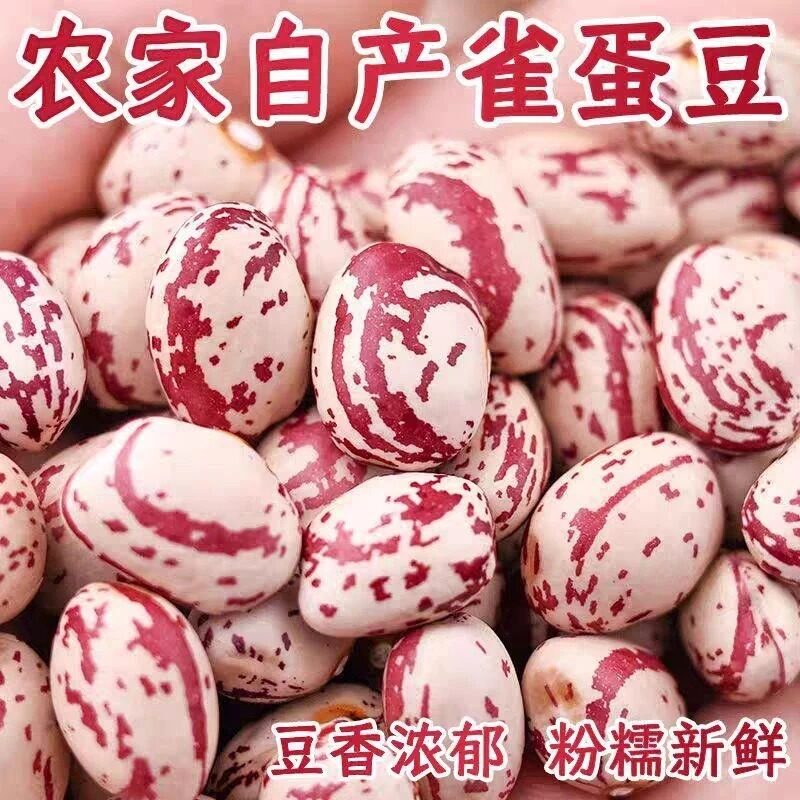 当季雀蛋豆今年新货奶花豆花生豆农家自产四季豆米货花豆芸豆饭豆