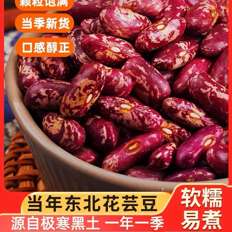 【东北花芸豆】东北新豆农家特产花芸豆独立包装紫花芸豆