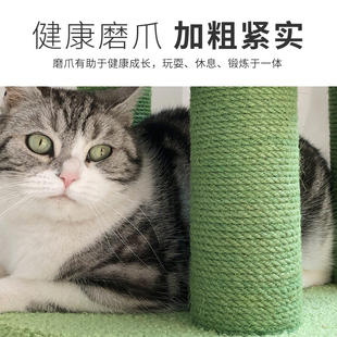 猫爬架用窝猫树一体猫抓板幼猫抓柱猫玩具猫O抓架猫咪猫品猫架小