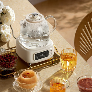 德世朗养生壶煮茶器烧水壶电热水壶办公室小型家用花茶壶DDQ-SH23