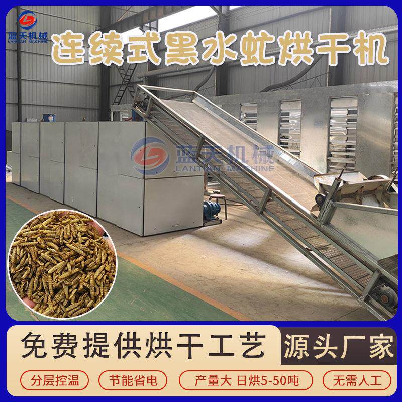 黑水虻烘干机 网带式黑水牤清洗烘干生产线 扁角水虻昆虫干燥设备