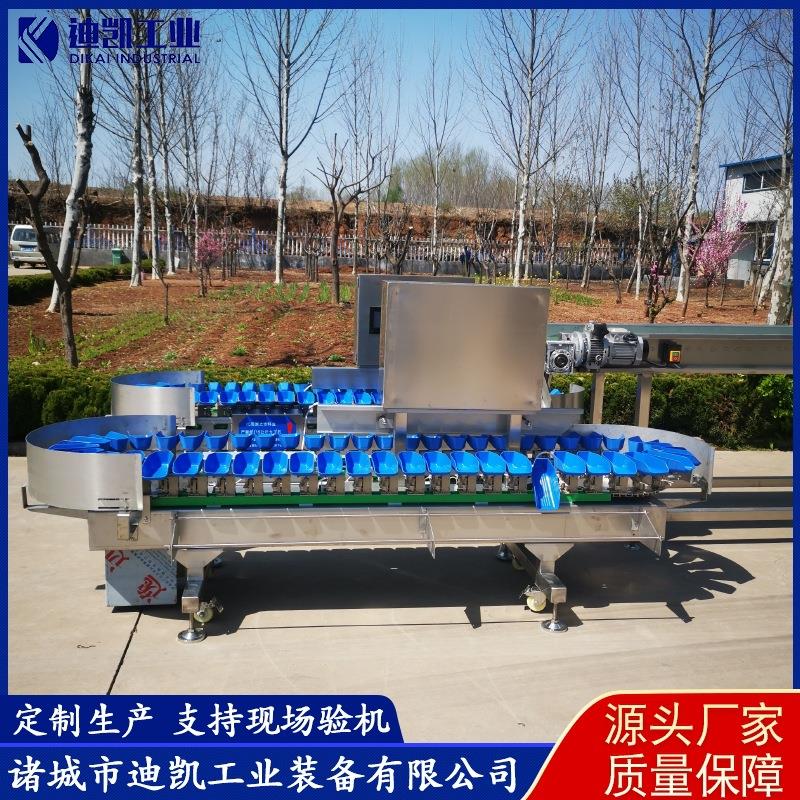 厂家应海参牡蛎量分拣机OBY火龙果重量分选机  盒料称重重供机设