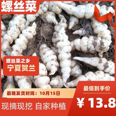 新鲜现挖螺丝菜地溜子地环地葫芦整箱包邮农家自种螺丝菜之乡贺兰