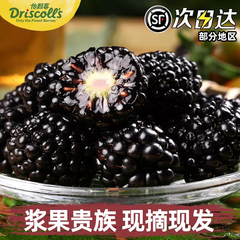 现货新鲜黑树莓云南怡颗树莓鲜果山莓大果每盒125克稀少顺丰包邮