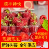 顺丰空运 新鲜树莓覆盆子鲜果带叶新鲜红树莓拖巴新鲜水果礼盒