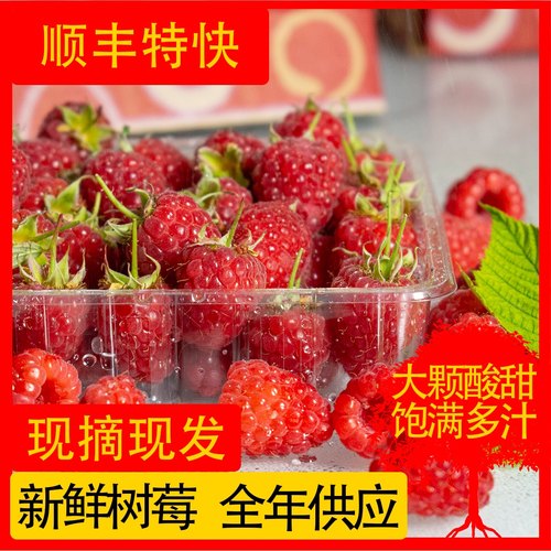 新鲜树莓树莓高档水果功效好营养
