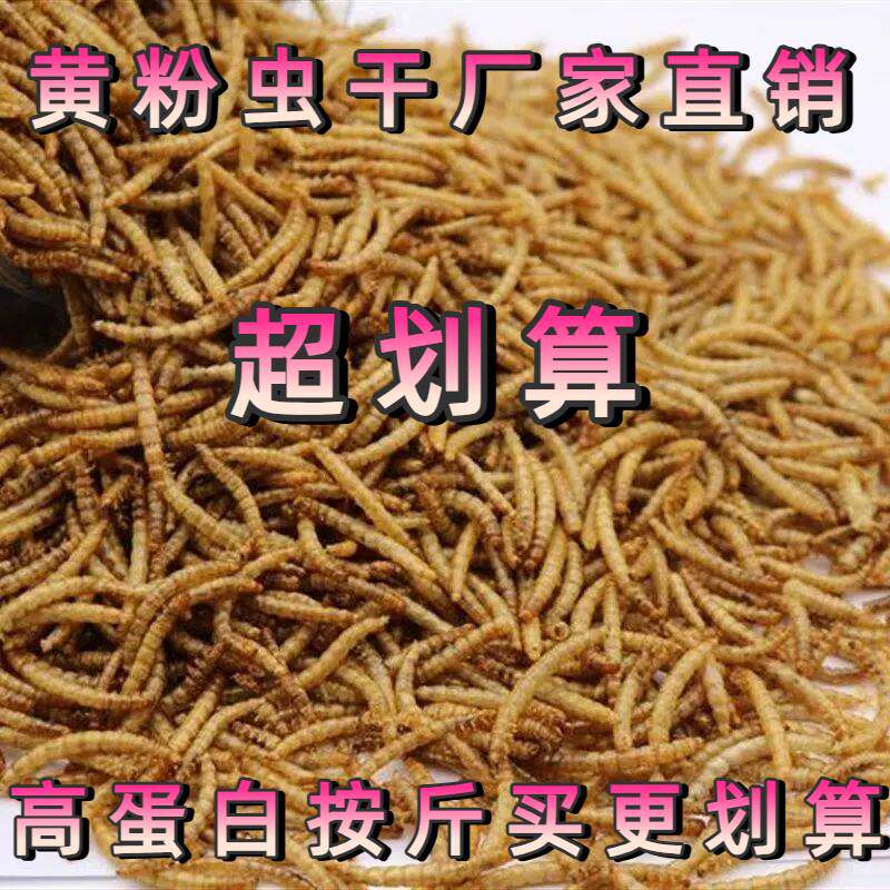 面包虫干金丝熊龟粮鹦鹉饲料小宠物零食蛋白虫干仓鼠口粮虫干批发
