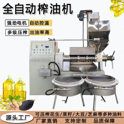 商用油坊小型榨油机器不锈钢家用花生榨油机设备全自动螺旋榨油机