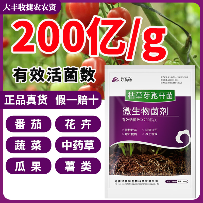 枯草芽孢杆菌生物菌肥