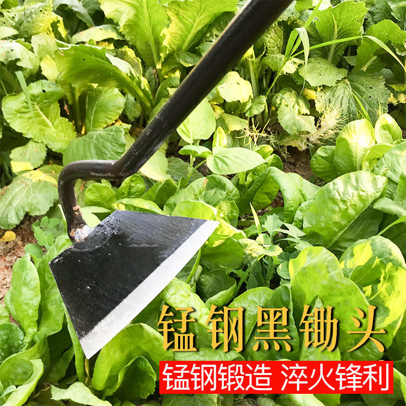 锄头多功能除草种菜农具开荒松土锄草神器长柄小锄头农用工具大全 鲜花速递/花卉仿真/绿植园艺 锄头 原图主图