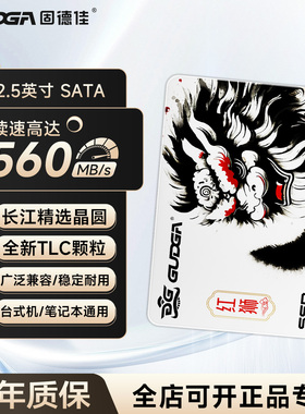固德佳GSL 2.5英寸SATA 固态硬盘SSD 256G 512G 1TB 2TB 长江TLC