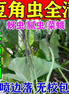 豆角虫药病毒清杀蓟马蚜腻菜青豆