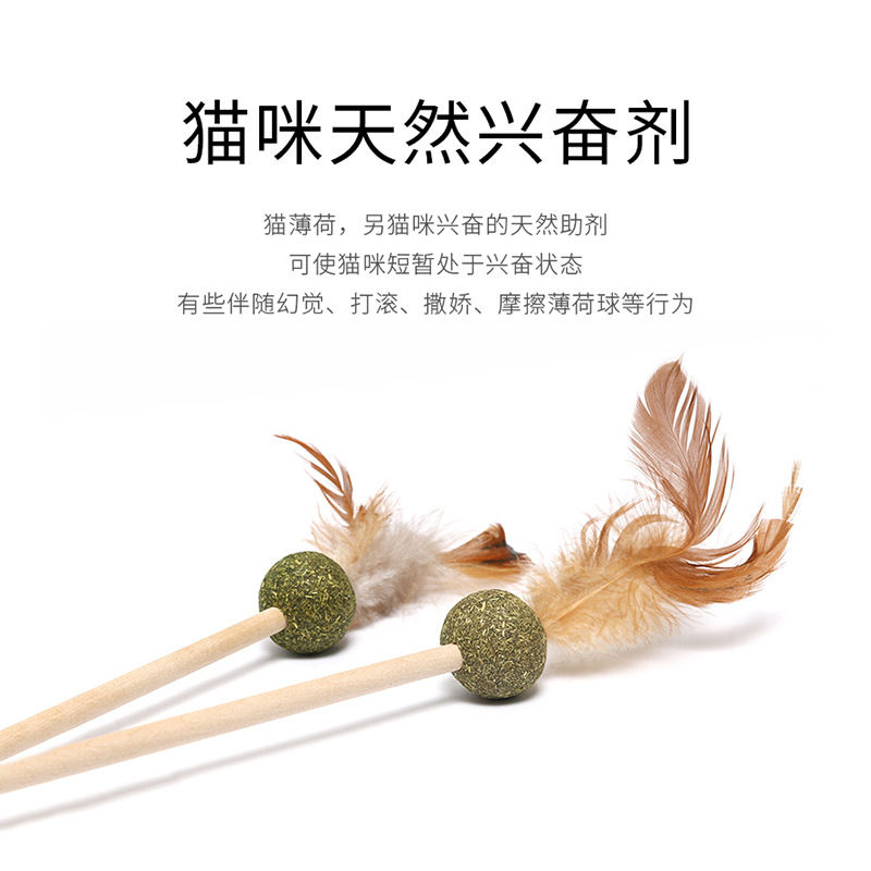 热卖猫玩具逗猫棒原木色羽毛 猫咪磨牙玩耍猫薄荷木天蓼逗猫神器图片