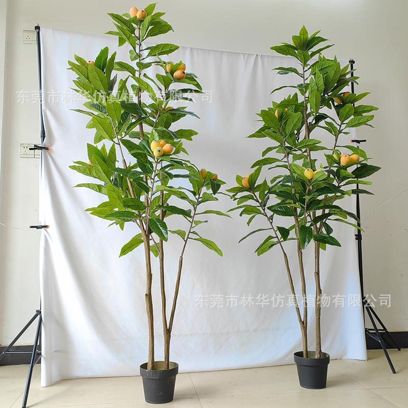 仿真枇杷树 新款仿真果树仿真枇杷树盆栽厂家室内外客厅摆件装饰,鲜花速递/花卉仿真/绿植园艺,仿真绿植,淘宝优惠券,粉丝福利购,淘宝优惠卷