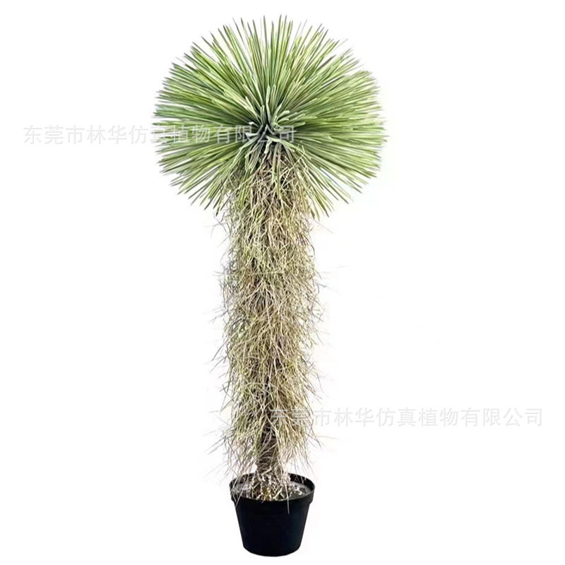 仿真植物稻草人沙漠仿真绿植盆栽仿真稻草人绿植假树景观造景,鲜花速递/花卉仿真/绿植园艺,仿真绿植,淘宝优惠券,粉丝福利购,淘宝优惠卷