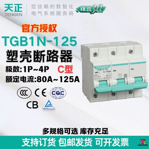 天正电气塑壳断路器TGB1N-125大电流保护断路100a125a祥云空开C型