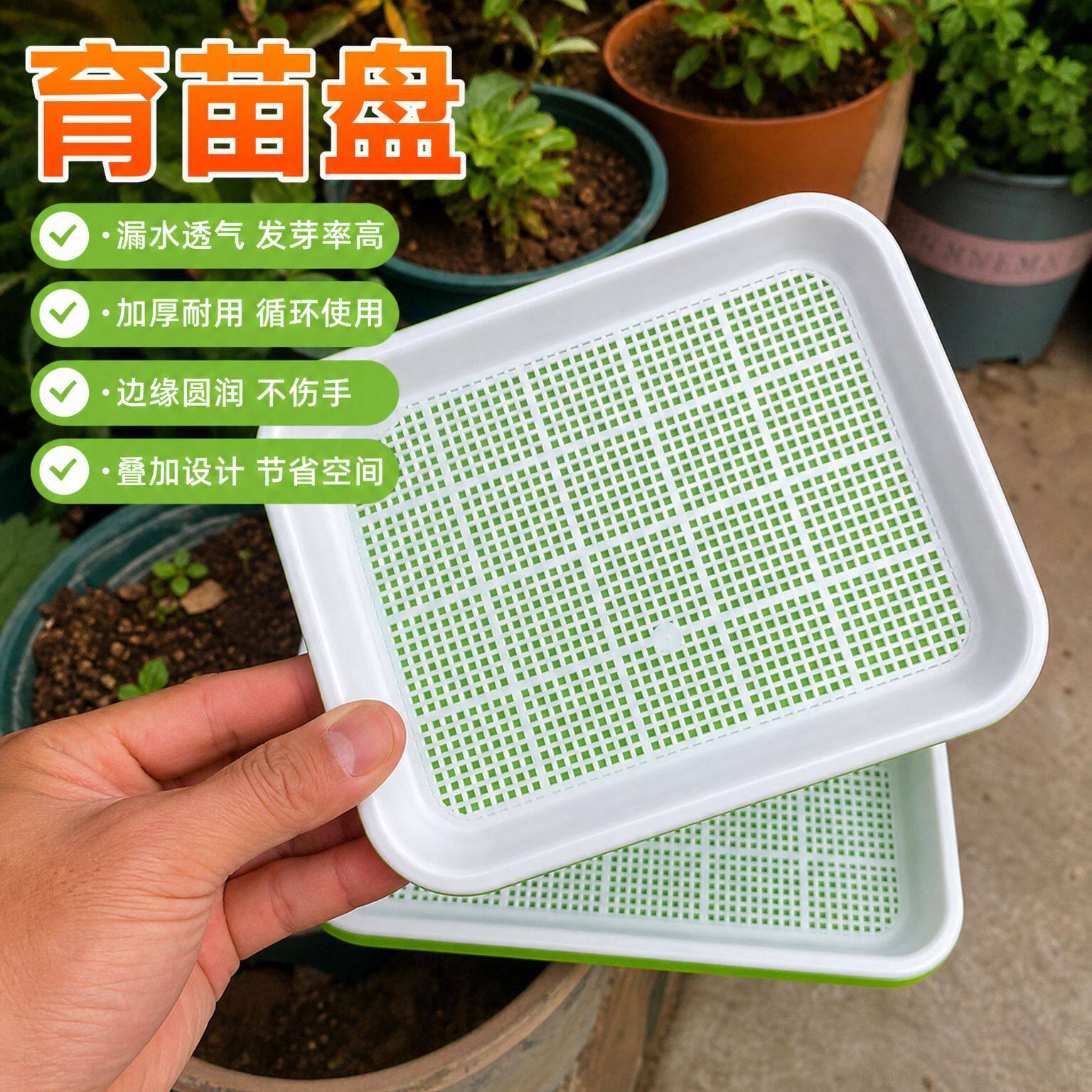 阳台水培无土育苗盘蔬菜豆芽