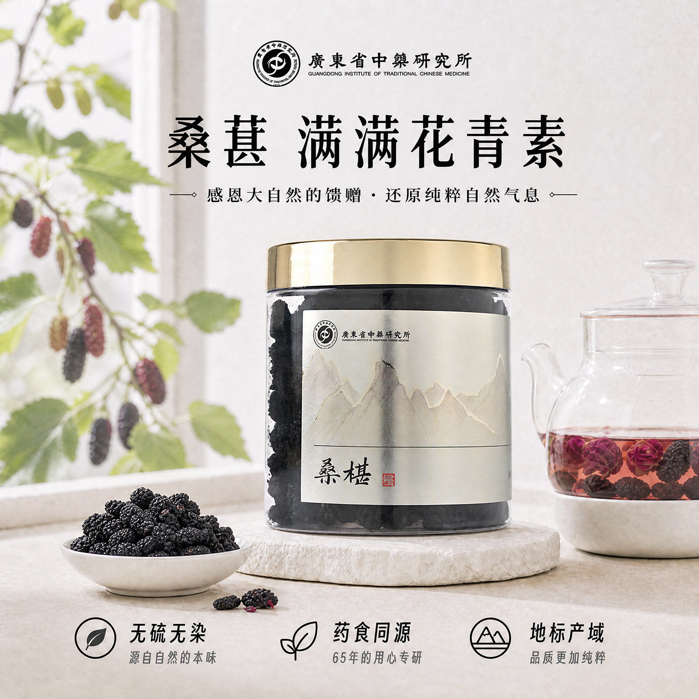 广东省中药研究所桑葚黑桑椹子干果养生茶新鲜搭配黑枸杞玫瑰泡茶