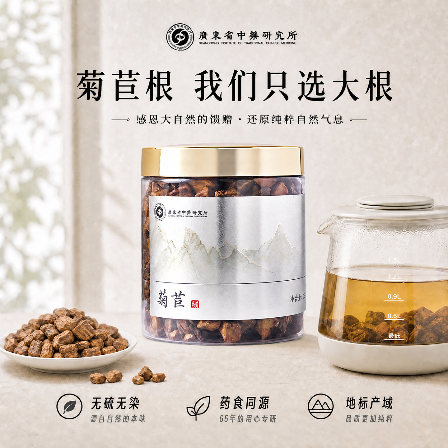 广东省中药研究所菊苣根中药材正宗大根可搭蒲公英跟泡水泡茶喝