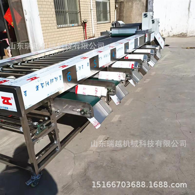 厂家筛选设备 百香果筛选机 大型苹果分选设备 多功能红枣分级机