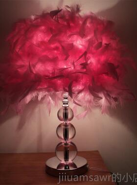 新款羽毛粉色白色紫色台灯结现女婚书房床头生代欧式创意漫浪卧室