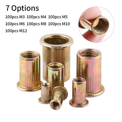 100Pcs Rivet Nut Mixed Iron Galvanized Threaded Insert Nuts