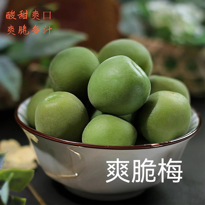 荔园青脆梅 青爽梅 爽脆梅爽口梅青梅果酸甜多汁果干蜜饯果脯零食
