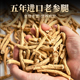 加拿大进口西洋参腿整根花旗参泡水煲汤足龄人参段参粒营养滋补品