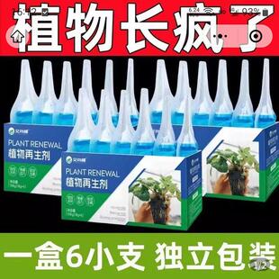 艾尚棵植物再生剂通用型浓缩复活液径舟绿植缓释营养棒土壤活化宝