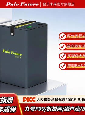 九号电动车锂电池宁德时代大单体