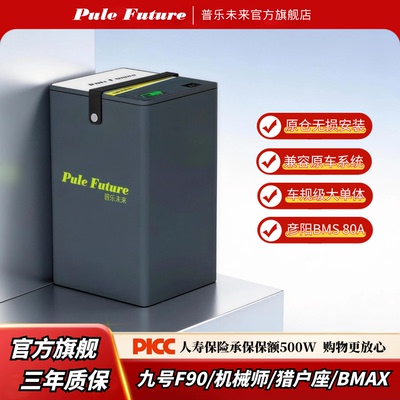 九号电动车锂电池宁德时代大单体