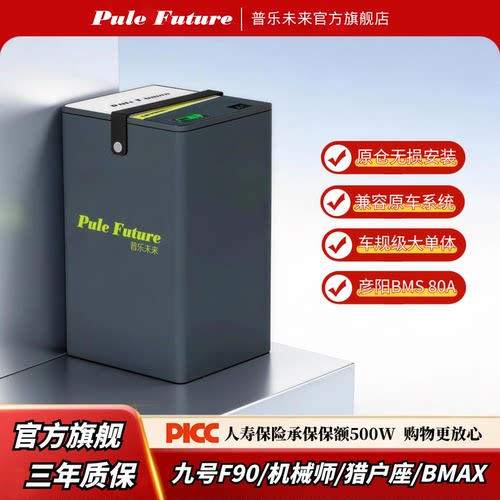 九号电动车锂电池宁德时代大单体