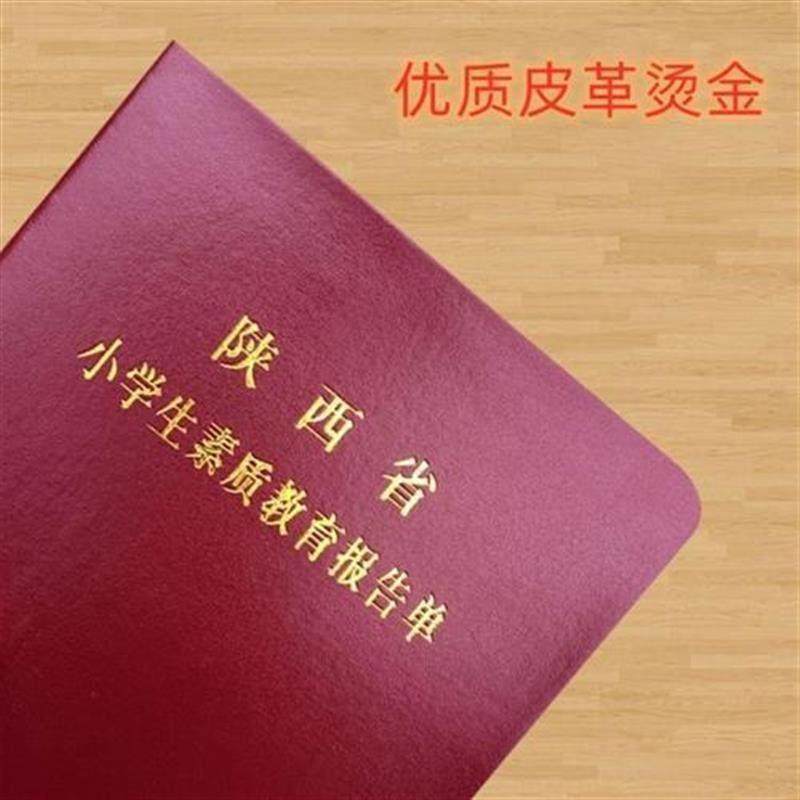陕西省小学生素质发展报告册 烫金教育综合素质学校评价成长手册