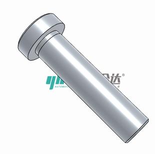 MIP04 帶肩鉸鏈銷MIM L40