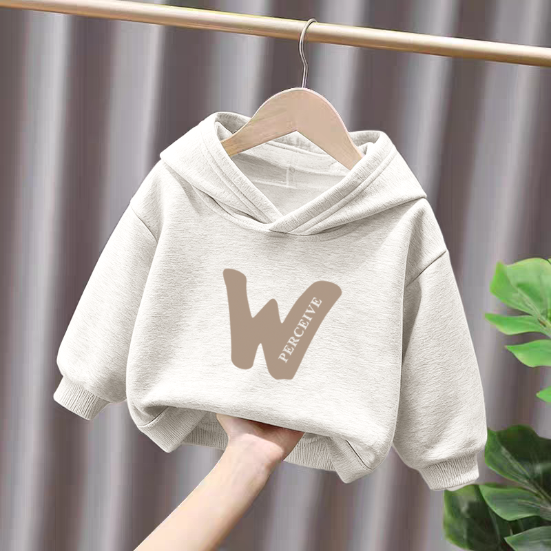 100%纯棉男童加绒加厚连帽卫衣秋冬新款中小儿童宝宝简约外穿上衣