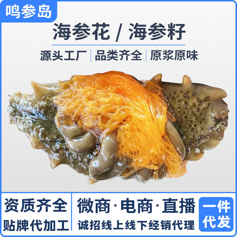 【源头直供】大连深海海参花海参籽海参卵批发新鲜冷冻海产品500g