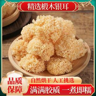 福建古田椴木银耳不掺不染花白木耳易出胶质煲汤炖煮丑耳闽派银耳