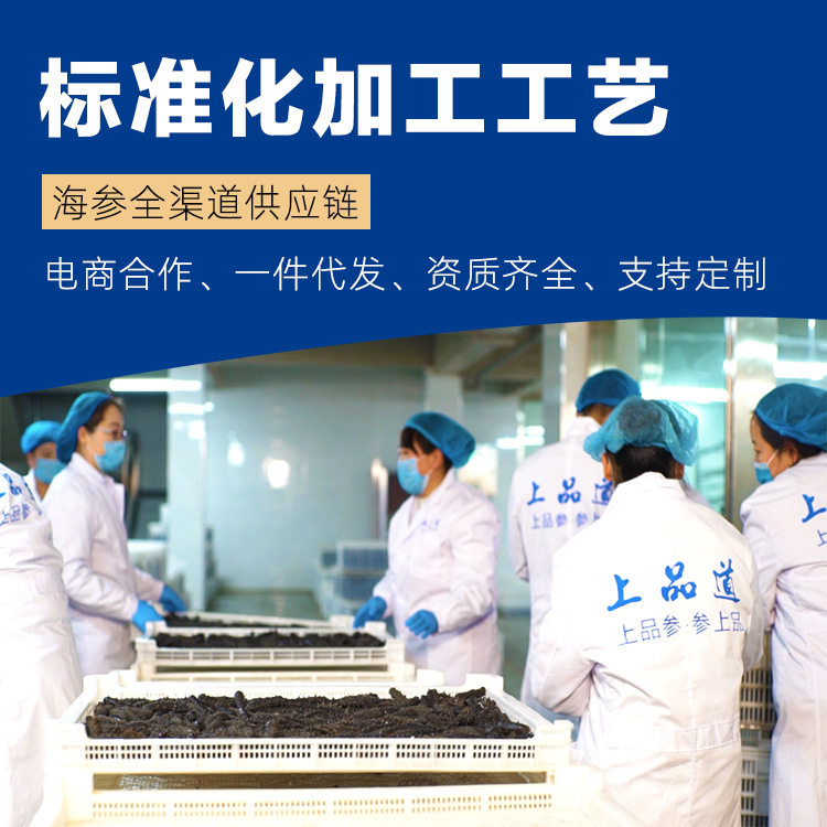 国标即食海参冷冻大连刺参500g袋装厂家海参顺丰发货