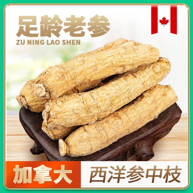 加拿大西洋参中枝3克5克7克规格厂家现货特惠西洋参软枝条可切片