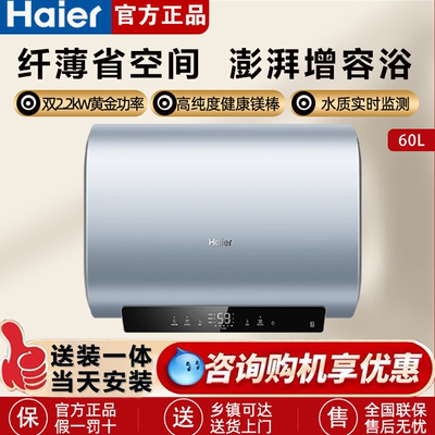 Haier/海尔 EC6003HD-BK1SEU1双胆扁桶60升电热水器一级镁棒免换