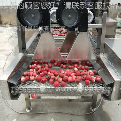 厂家供应线翻转空风线干全自动果蔬JH-5000清洗风干流水真食品生